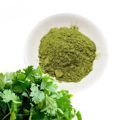 Dehydrated Coriander Leaves — available in Powder forms — premium quality by Khodiyar Enterprise
